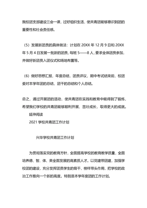 学校共青团工作计划.docx