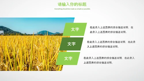 农业生产春耕三农新农村乡村振兴稻田水稻PPT