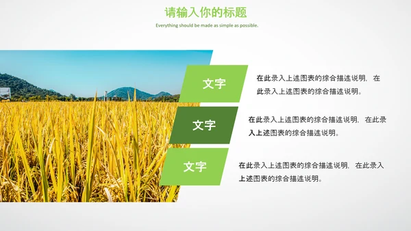 农业生产春耕三农新农村乡村振兴稻田水稻PPT