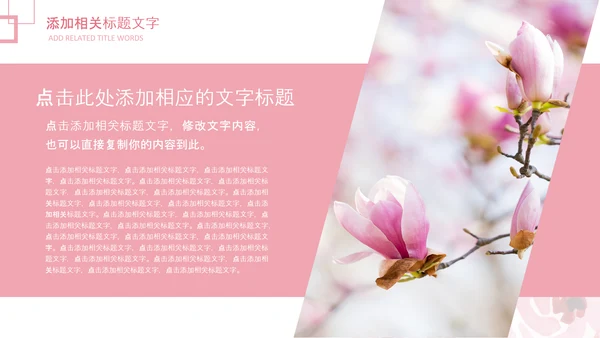 妇联三八妇女节年终工作总结汇报PPT模板