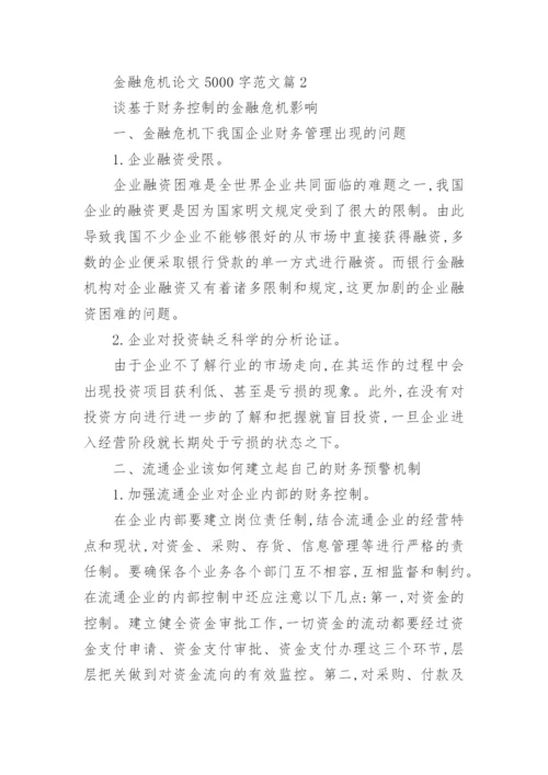 金融危机论文5000字范文.docx