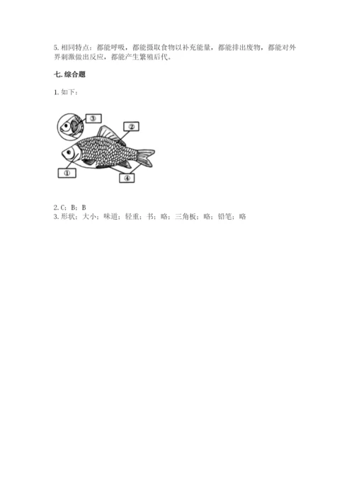 教科版一年级下册科学期末测试卷【必刷】.docx