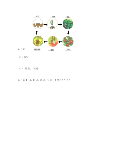 科学四年级下册第一单元植物的生长变化测试卷往年题考.docx