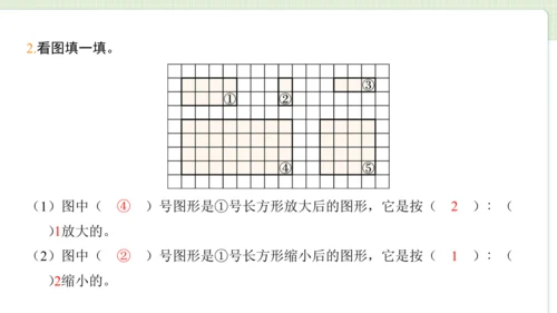 2024（大单元教学）人教版数学六年级下册4.8  图形的放大与缩小课件（共21张PPT)