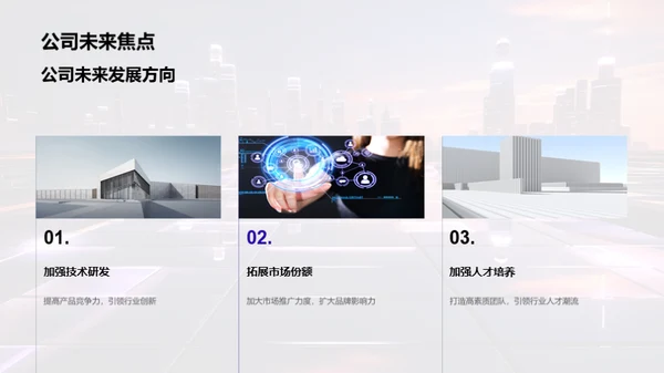 公司年度回顾与展望