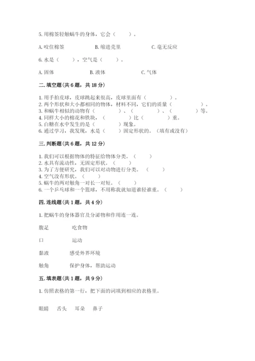 教科版小学科学一年级下册期末测试卷（轻巧夺冠）.docx