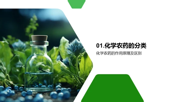 农药科学：显现化学力量