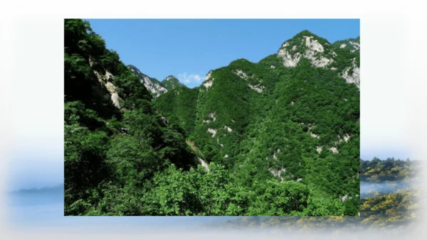 20.美丽的小兴安岭   课件