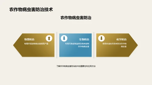 3D风教育培训教学课件PPT模板
