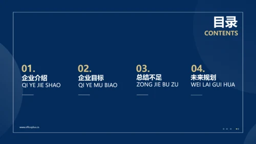 商务风蓝金总结汇报