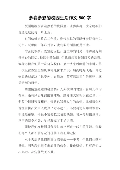 多姿多彩的校园生活作文800字.docx