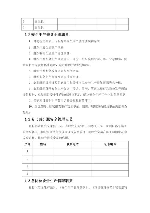 项目安全生产管理策划书.docx