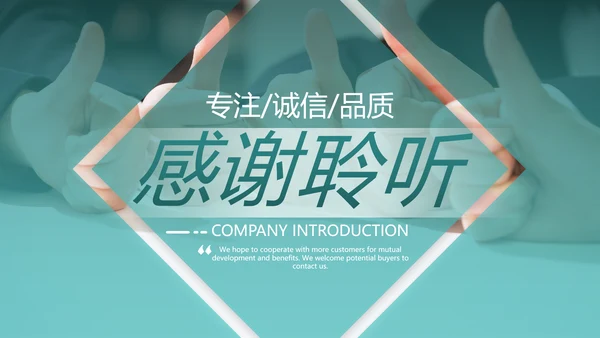 欧美风商业提案公司介绍企业宣传PPT模板