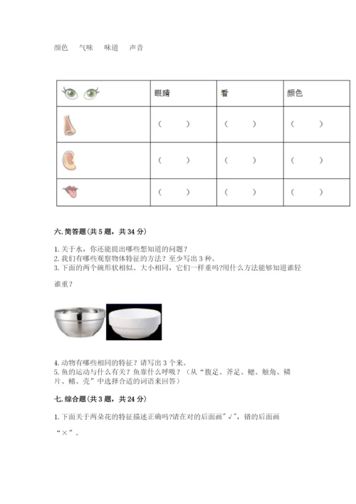 教科版一年级下册科学期末测试卷精品（典优）.docx