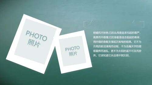 致青春毕业季大学毕业纪念册电子相册动态PPT