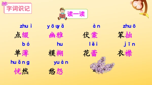 2 丁香结  课件