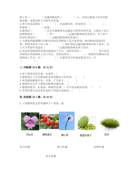 科学四年级下册第一单元植物的生长变化测试卷【夺冠系列】.docx