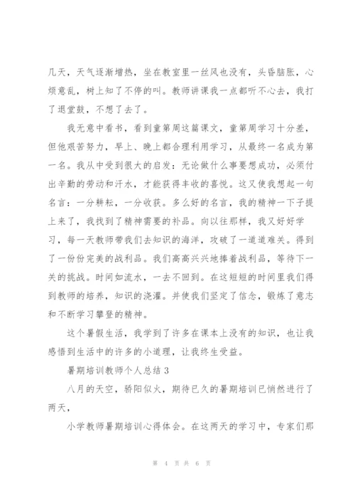 暑期培训教师个人总结 教师培训期间个人总结.docx