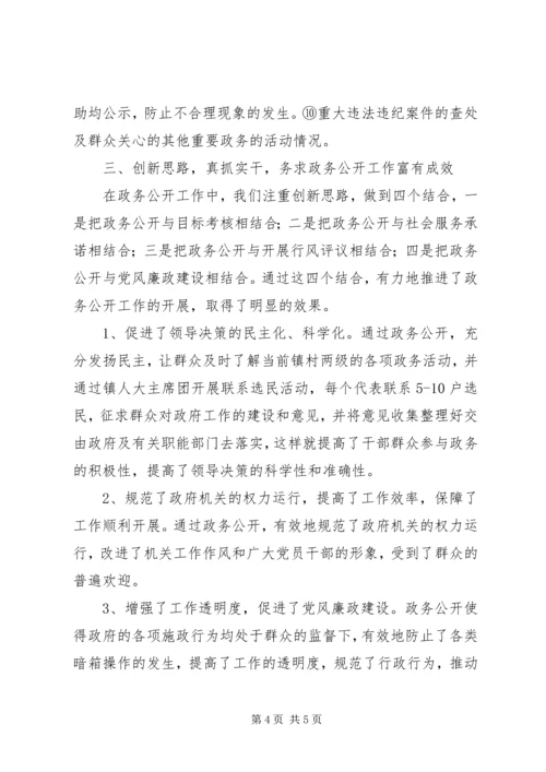 乡镇政务公开小结汇报材料.docx