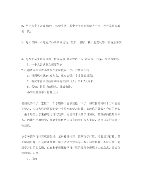 精编小学生暑假学习参考计划范文.docx