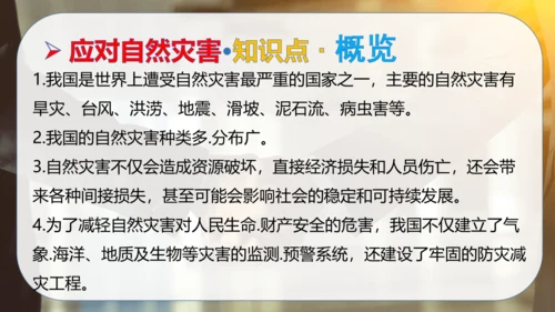 第二单元 爱护地球共同责任（复习课件）-2023-2024学年六年级道德与法治下学期期中专项复习（统