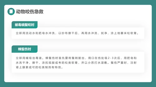 绿植风格日常急救知识PPT课件模板