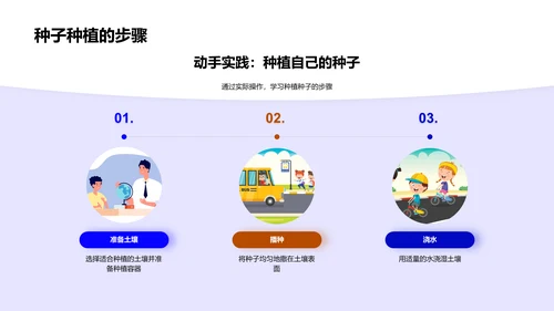 种子生长科学解析PPT模板