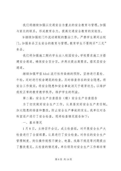 安全自查报告(精).docx