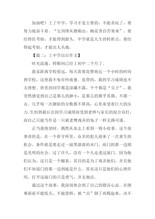 上中学以后作文.docx