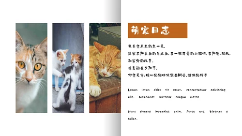 简约宠物萌宠画册电子相册通用PPT模板