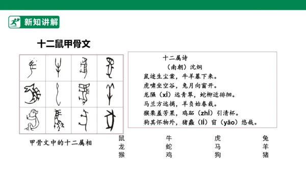 4.8 美丽文字 民族瑰宝 第一课时 课件（共50张PPT）