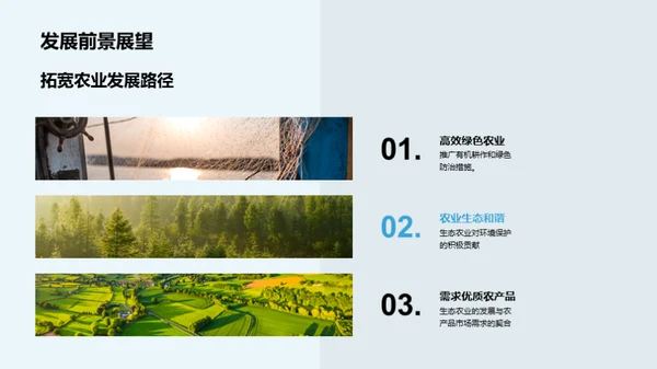 绿色农业新篇章