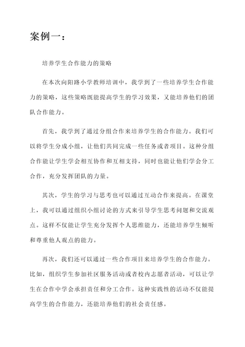 向阳路小学教师培训心得