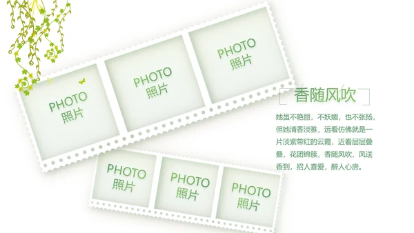 致青春大学毕业纪念册毕业旅行PPT