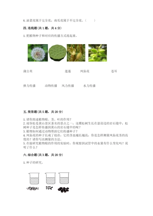 科学四年级下册第一单元植物的生长变化测试卷（典优）.docx