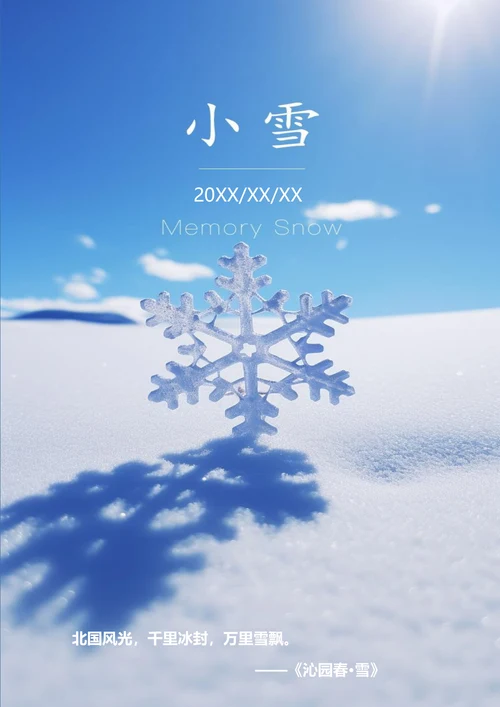 千里冰封万里飘雪小雪海报