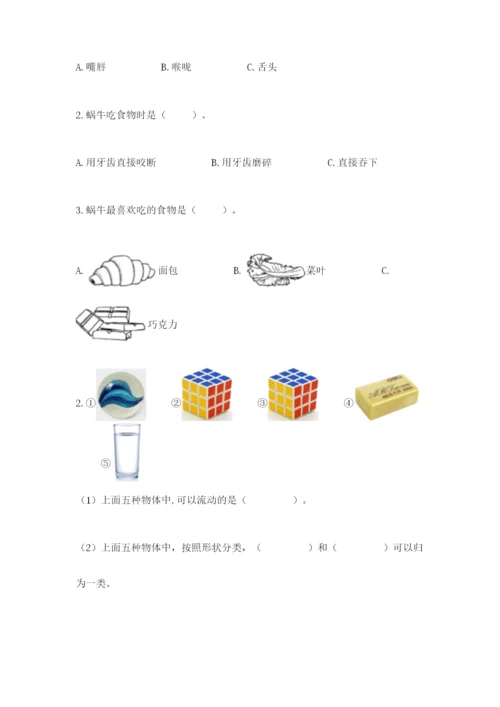 教科版一年级下册科学期末测试卷及答案【全优】.docx