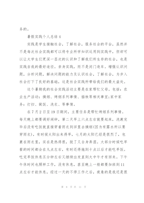 暑假实践个人总结5篇.docx