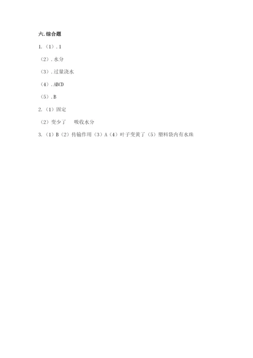 教科版四年级下册科学第一单元《植物的生长变化》测试卷【考点梳理】.docx