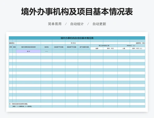 境外办事机构及项目基本情况表