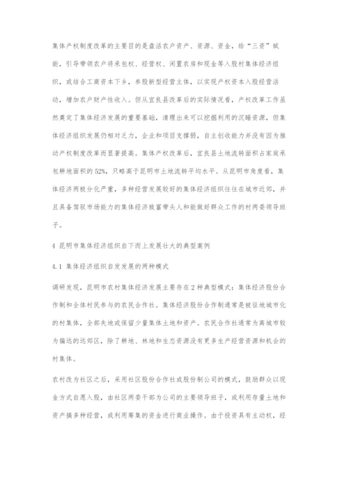 发展壮大新型农村集体经济的路径探索.docx