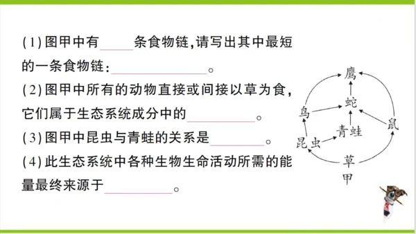 【掌控课堂-创优作业】人教版生物七(上)第一单元 生物和生物圈 第一、二章总结训练 (课件版)