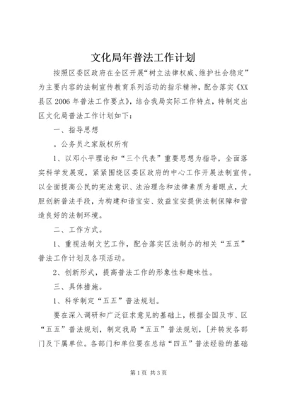 文化局年普法工作计划 (2).docx