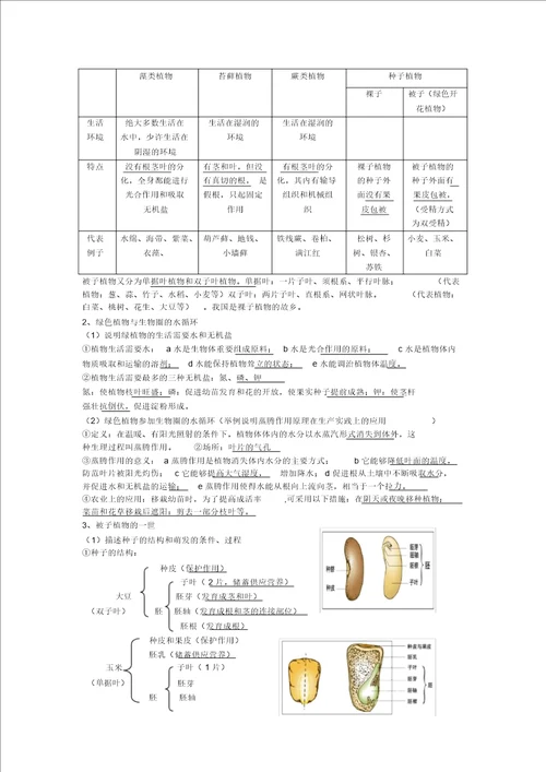 中考生物知识点总结计划