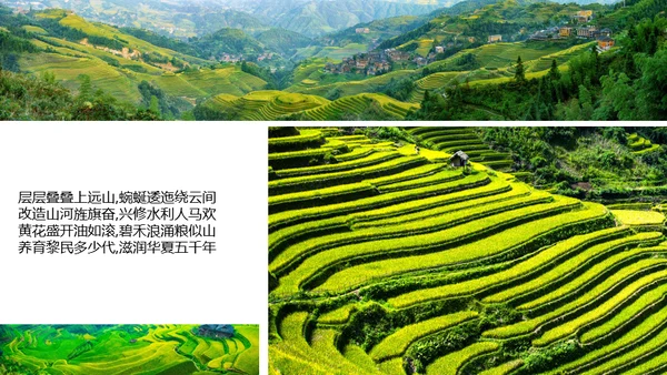 绿色生态环境保护绿水青山通用PPT模板