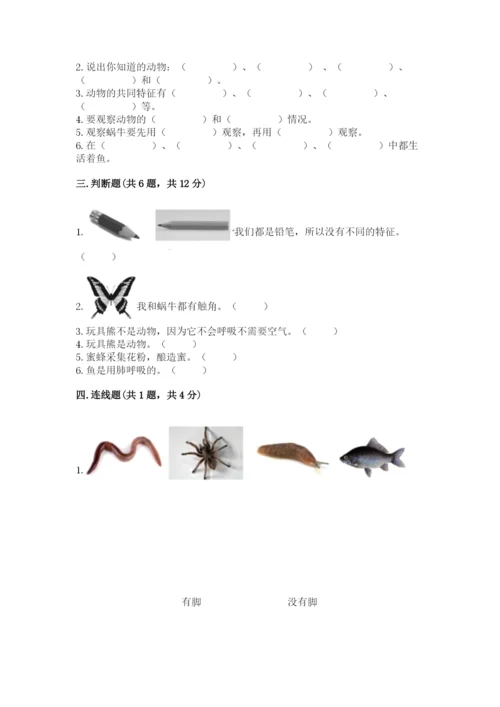 教科版小学科学一年级下册期末测试卷（夺冠）.docx