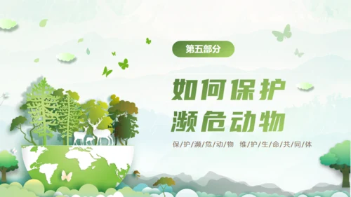 保护濒危动物，拯救美好生命通用PPT模板