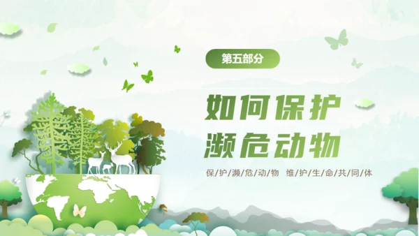 保护濒危动物，拯救美好生命通用PPT模板