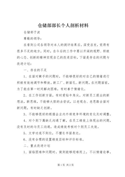 仓储部部长个人剖析材料.docx