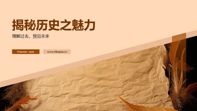 揭秘历史之魅力